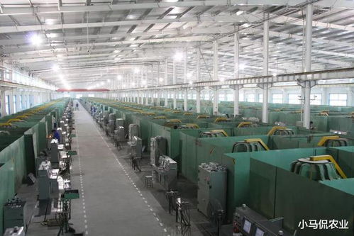 河南人造钻石七日长成，全球产能占四成 从实验室到指尖的产业革命